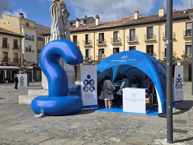 Palencia_12M (1)